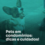 Pets em condomínios: Dicas e cuidados