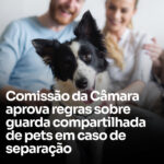 Comissão da Câmara aprova regras sobre guarda compartilhada de pets em caso de separação